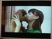 ����3D�����ᳱ GQY 3D������Ů���