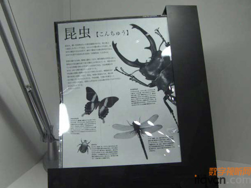 索尼展示13.3英寸柔性電子紙及Reader模型