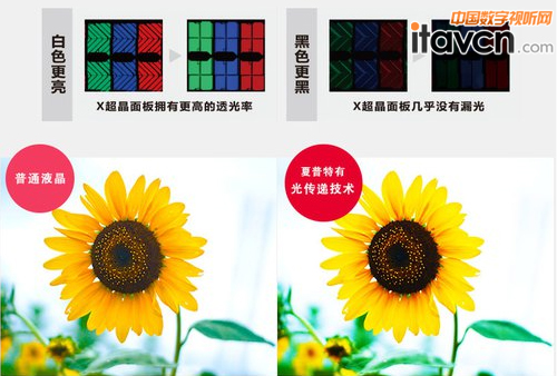 ����ȫ��DS10AҺ���ҕ ����(l��i)�O��������(hu��)��