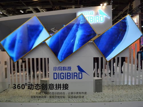 С�B�Ƽ�չλ������