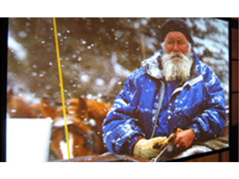 [�۾�]����ϵ��