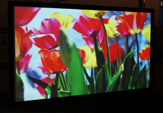 HDBase-T解決方案