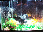 索尼展示防水攝錄機